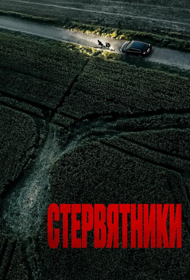 Стервятники